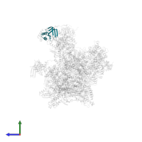Transcription initiation factor IIA subunit 2 in PDB entry 5iy6, assembly 1, side view.