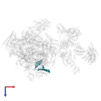 Transcription initiation factor IIA subunit 2 in PDB entry 5iy6, assembly 1, top view.