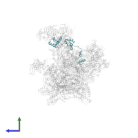 Transcription initiation factor IIE subunit beta in PDB entry 5iy6, assembly 1, side view.