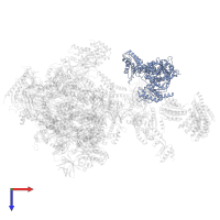 General transcription and DNA repair factor IIH helicase subunit XPD in PDB entry 5iy6, assembly 1, top view.