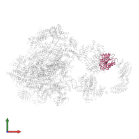 General transcription factor IIH subunit 2 in PDB entry 5iy6, assembly 1, front view.