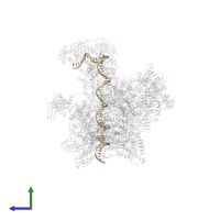 SCP-X in PDB entry 5iy6, assembly 1, side view.