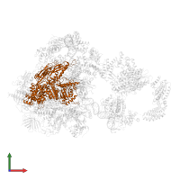 DNA-directed RNA polymerase II subunit RPB2 in PDB entry 5iy6, assembly 1, front view.