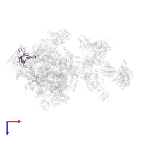 DNA-directed RNA polymerases I, II, and III subunit RPABC3 in PDB entry 5iy6, assembly 1, top view.
