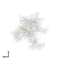 DNA-directed RNA polymerase II subunit RPB11-a in PDB entry 5iy7, assembly 1, side view.