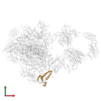 Transcription initiation factor IIA subunit 1 in PDB entry 5iy7, assembly 1, front view.