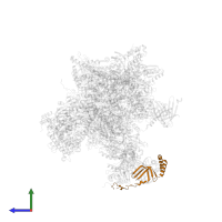 Transcription initiation factor IIA subunit 1 in PDB entry 5iy7, assembly 1, side view.