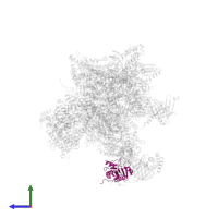 TATA-box-binding protein in PDB entry 5iy7, assembly 1, side view.