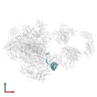 Transcription initiation factor IIE subunit beta in PDB entry 5iy7, assembly 1, front view.