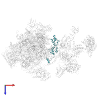 Transcription initiation factor IIE subunit beta in PDB entry 5iy7, assembly 1, top view.