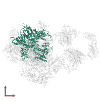 DNA-directed RNA polymerase II subunit RPB1 in PDB entry 5iy7, assembly 1, front view.