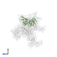 General transcription and DNA repair factor IIH helicase subunit XPB in PDB entry 5iy7, assembly 1, side view.