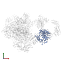 General transcription and DNA repair factor IIH helicase subunit XPD in PDB entry 5iy7, assembly 1, front view.