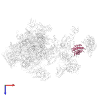 General transcription factor IIH subunit 2 in PDB entry 5iy7, assembly 1, top view.