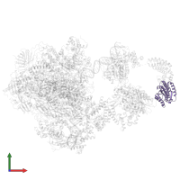General transcription factor IIH subunit 3 in PDB entry 5iy7, assembly 1, front view.