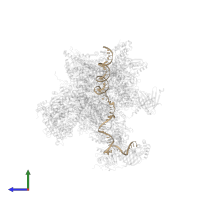 SCP-X in PDB entry 5iy7, assembly 1, side view.