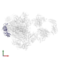 DNA-directed RNA polymerase II subunit RPB3 in PDB entry 5iy7, assembly 1, front view.