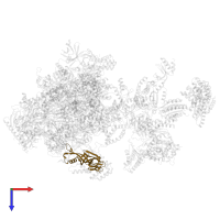 DNA-directed RNA polymerase II subunit RPB7 in PDB entry 5iy7, assembly 1, top view.