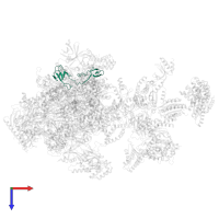 DNA-directed RNA polymerase II subunit RPB9 in PDB entry 5iy7, assembly 1, top view.