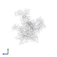 DNA-directed RNA polymerase II subunit RPB3 in PDB entry 5iy8, assembly 1, side view.