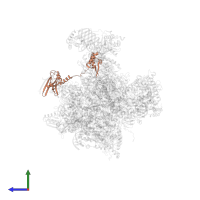 General transcription factor IIF subunit 2 in PDB entry 5iy9, assembly 1, side view.
