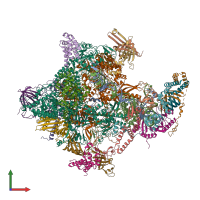 PDB entry 5iya coloured by chain, front view.