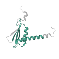 The deposited structure of PDB entry 5iyb contains 1 copy of Pfam domain PF13656 (RNA polymerase Rpb3/Rpb11 dimerisation domain) in DNA-directed RNA polymerase II subunit RPB11-a. Showing 1 copy in chain K.