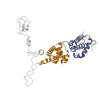 The deposited structure of PDB entry 5iyb contains 2 copies of Pfam domain PF00382 (Transcription factor TFIIB repeat) in Transcription initiation factor IIB. Showing 2 copies in chain M.
