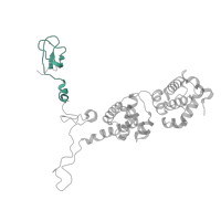 The deposited structure of PDB entry 5iyb contains 1 copy of Pfam domain PF08271 (TFIIB zinc-binding) in Transcription initiation factor IIB. Showing 1 copy in chain M.