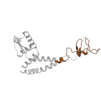 The deposited structure of PDB entry 5iyb contains 1 copy of Pfam domain PF08271 (TFIIB zinc-binding) in General transcription factor IIE subunit 1. Showing 1 copy in chain Q.