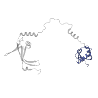 The deposited structure of PDB entry 5iyb contains 1 copy of Pfam domain PF02270 (TFIIF, beta subunit HTH domain) in General transcription factor IIF subunit 2. Showing 1 copy in chain T.