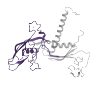 The deposited structure of PDB entry 5iyb contains 1 copy of Pfam domain PF01000 (RNA polymerase Rpb3/RpoA insert domain) in DNA-directed RNA polymerase II subunit RPB3. Showing 1 copy in chain C.