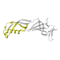 The deposited structure of PDB entry 5iyb contains 1 copy of Pfam domain PF03876 (SHS2 domain found in N terminus of Rpb7p/Rpc25p/MJ0397) in DNA-directed RNA polymerase II subunit RPB7. Showing 1 copy in chain G.