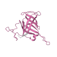 The deposited structure of PDB entry 5iyb contains 1 copy of Pfam domain PF03870 (RNA polymerase Rpb8) in DNA-directed RNA polymerases I, II, and III subunit RPABC3. Showing 1 copy in chain H.