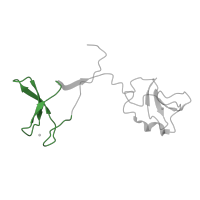 The deposited structure of PDB entry 5iyb contains 1 copy of Pfam domain PF02150 (RNA polymerases M/15 Kd subunit) in DNA-directed RNA polymerase II subunit RPB9. Showing 1 copy in chain I.