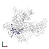 DNA-directed RNA polymerase II subunit RPB3 in PDB entry 5iyb, assembly 1, front view.