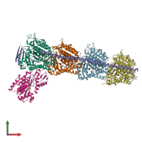 PDB entry 5iyz coloured by chain, front view.