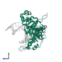 DNA polymerase beta in PDB entry 5j2k, assembly 1, side view.