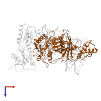 p51 RT in PDB entry 5j2n, assembly 1, top view.