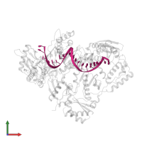 DNA (27-MER) in PDB entry 5j2n, assembly 1, front view.