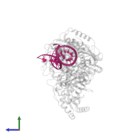 DNA (27-MER) in PDB entry 5j2n, assembly 1, side view.