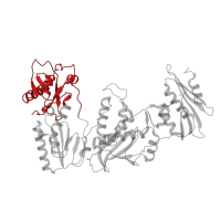 The deposited structure of PDB entry 5j2q contains 1 copy of CATH domain 3.10.10.10 (HIV Type 1 Reverse Transcriptase; Chain A, domain 1) in Reverse transcriptase/ribonuclease H. Showing 1 copy in chain A.