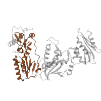 The deposited structure of PDB entry 5j2q contains 1 copy of Pfam domain PF00078 (Reverse transcriptase (RNA-dependent DNA polymerase)) in Reverse transcriptase/ribonuclease H. Showing 1 copy in chain A.