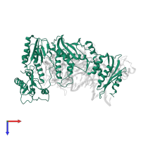 Reverse transcriptase/ribonuclease H in PDB entry 5j2q, assembly 1, top view.