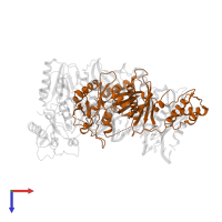 p51 RT in PDB entry 5j2q, assembly 1, top view.