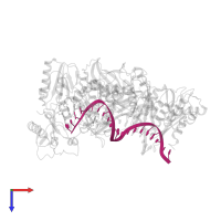 DNA (27-MER) in PDB entry 5j2q, assembly 1, top view.