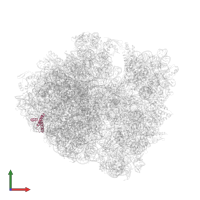 Large ribosomal subunit protein uL29 in PDB entry 5j3c, assembly 2, front view.