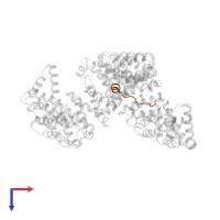 Histone H3.1 in PDB entry 5j3v, assembly 1, top view.