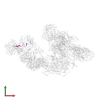 COMPLEX I 13KDA/NDUFS6 in PDB entry 5j7y, assembly 1, front view.