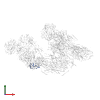 COMPLEX I PGIV/NDUFA8 in PDB entry 5j7y, assembly 1, front view.